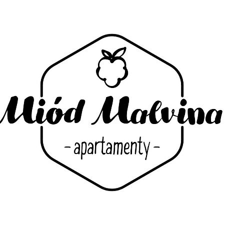 Miod Malvina Apartamenty Krynica Zdroj Ngoại thất bức ảnh